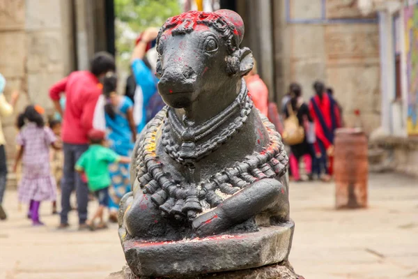 Gros Plan Taureau Nandi Dans Temple Hampi Karnataka Inde Avec — Photo