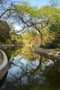 Ağaçlarla çevrili su kütlesi ve onun yansıması Yeni Delhi, Hindistan 'da Lodhi Garden' da. Lodi Hanedanı, 1451-1526 yılları arasında Delhi Sultanlığı 'nı yöneten bir Afgan hanedanıdır.. 