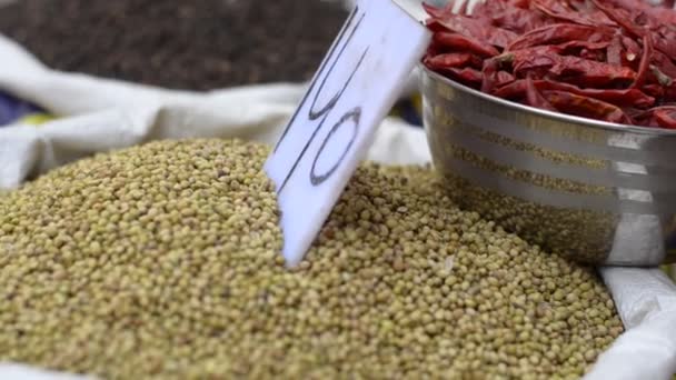 Black Pepper Cumin Dried Red Chilies Display Old Delhi Spice — Wideo stockowe
