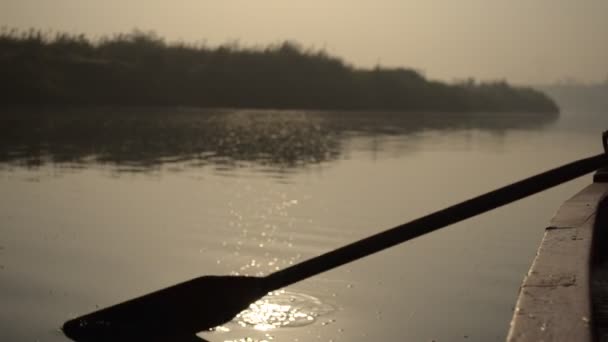 Silhouette Paddle Boat Rowing Yamuna — Stock Video