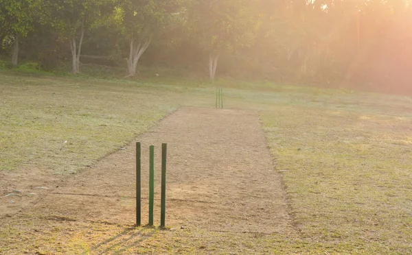 Kriket sahası derme çatma ahşap sopalarla yapılmış 22 metre arayla bir parkta