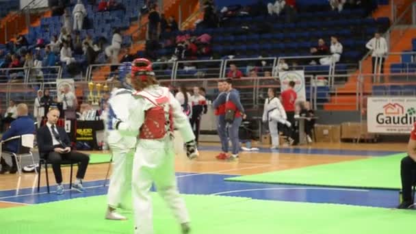 Vrsac Serbia 2019 Taekwondo Atletas Muchos Países Luchan Entre 11º — Vídeo de stock