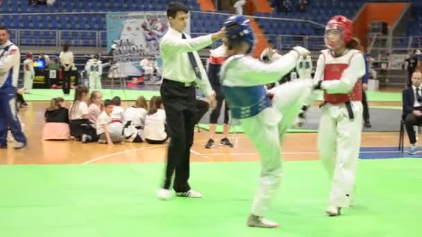 Vrsac Serbia 2019 Taekwondo Atletas Muchos Países Luchan Entre 11º — Vídeo de stock