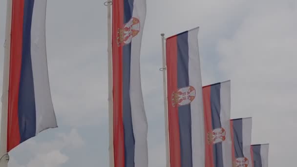 Σερβική Εθνική Σημαία Που Φτερουγίζει Και Ξεδιπλωθεί Μπροστά Από Κυβερνητικά — Αρχείο Βίντεο