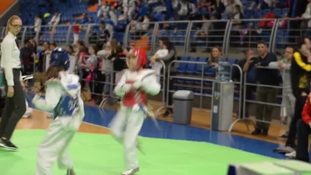 Vrsac Serbia 2019 Los Atletas Taekwondo Muchos Países Luchan Entre — Vídeo de stock