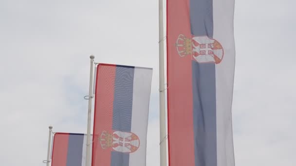 Serbiens Flagga Fladdrande Och Unfurling Framför Regeringsbyggnaderna Belgrad Serbien — Stockvideo