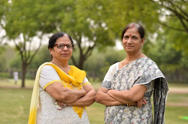Portrait of two senior Indian women friends sisters women standing in a park wearing saree and salwar kamiz with crossed hands during winters in Delhi, India