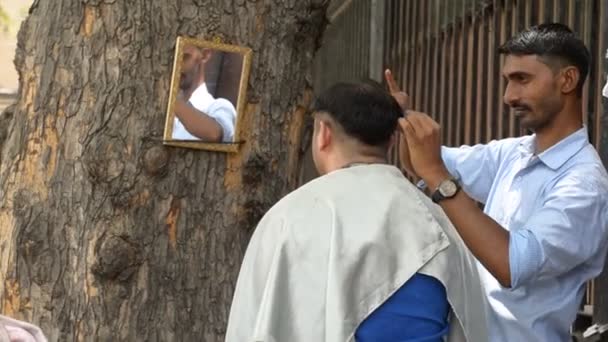 Delhi India 2019 Peluquero Cortándose Pelo Hombre Improvisada Tienda Carretera — Vídeo de stock