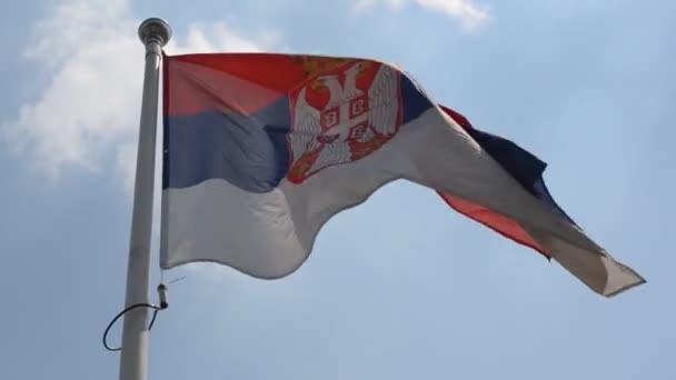 Low Angle Shot Fluttering National Flag Republic Serbia Fluttering Unfurling — Stock Video