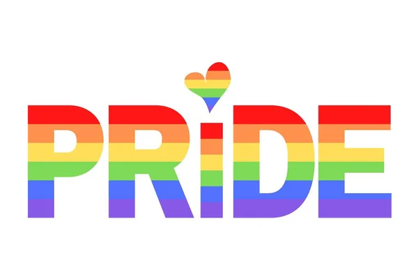 关于色彩艳丽的彩虹旗或骄傲旗 Lgbtq 男女同性恋 双性恋 变性者和变性人 组织旗帜的Pride说明 六月举行的骄傲月游行 — 图库照片