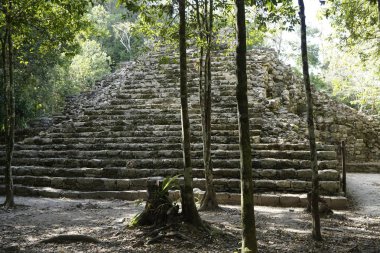 Piramit eski adımlar