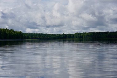 karşı bankada orman                               