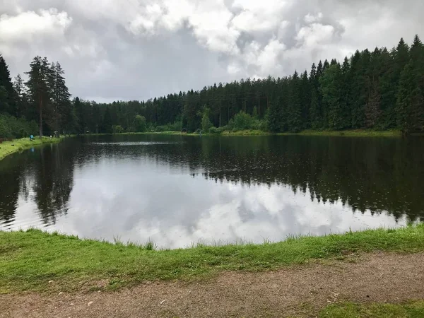 karşı bankada orman                               