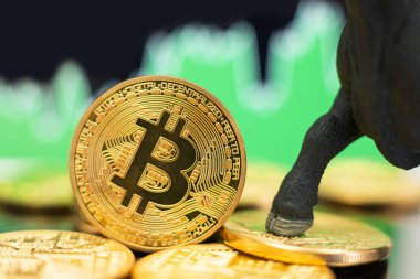 Bitcoin boğa piyasası