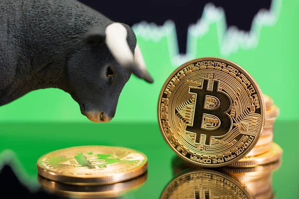 Bitcoin boğa piyasası