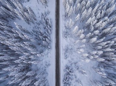 Gökyüzü insansız hava aracıyla cennet kışı manzarası. Kuşların gözünden doğaya doğru koşan bir sokak..