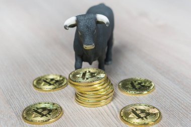 Boğa piyasası kripto para birimi cinsinden. Bitcoin sikke yığını yanındaki boğa