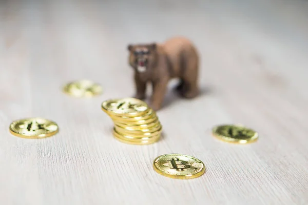 Niedźwiedź z Gold kryptowaluta Bitcoin skupić się na monety. Bear Market Wall Street finansowych koncepcja. — Zdjęcie stockowe