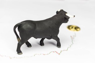 Bitcoin Cryptocurrency bilgisayar anakart üzerinde boğa. Boğa piyasası Wall Street mali kavramı kopya alanı ile.