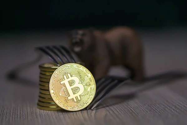 Bitcoin bekommt neue Festgabel Wechselgeld, physische goldene Kryptowährung Münze mit Gabel und Bär daneben — Stockfoto