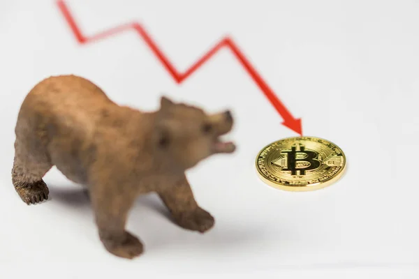 Medvěd s Gold Bitcoin kryptoměn a červené graf. Bear trhu Wall Street finanční koncept. — Stock fotografie