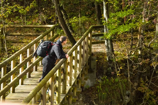 Viajero observando la naturaleza en el puente de madera en el bosque —  Fotos de Stock
