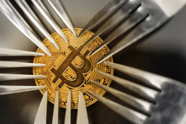 Bitcoin Cryptocurrency Vaste Vork Concept — Stockfoto