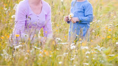 Anne ve oğlu bir buket çiçek çayırda bir güneşli yaz günü toplama