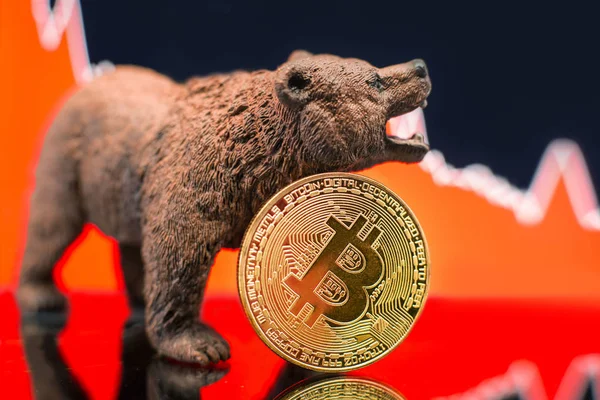 Bitcoin bir kırmızı grafik damla ile. Fiyat çökme ve ayı piyasa eğilim kavramı.