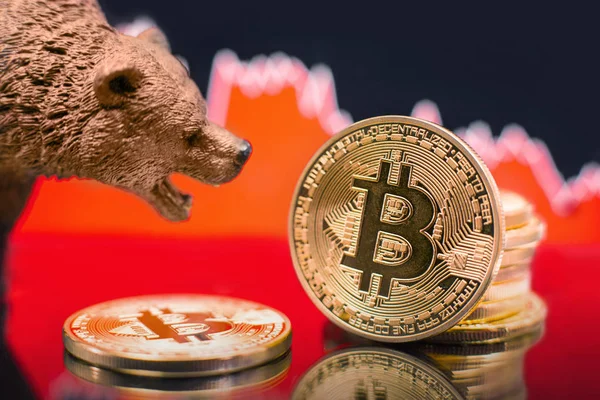 Bitcoin bir kırmızı grafik damla ile. Fiyat çökme ve ayı piyasa eğilim kavramı.