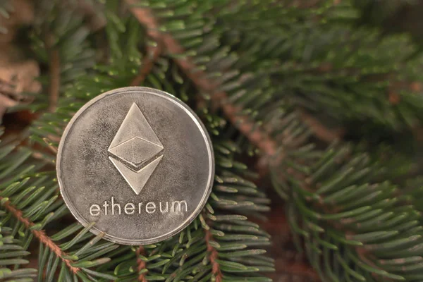 Monedas Criptomoneda Ethereum Las Ramas Abeto Regalo Navidad — Foto de Stock