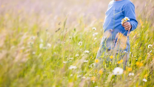 Bir buket çiçek çayırda bir güneşli havalarda günde annesi için toplama çocuk çocuk