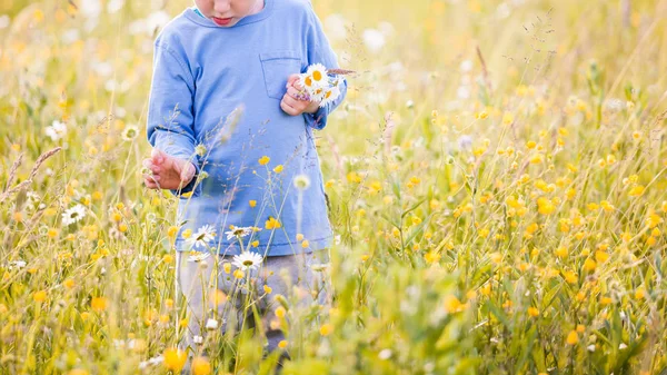 Junge Kind Sammelt Einem Sonnigen Tag Einen Blumenstrauß Für Seine — Stockfoto