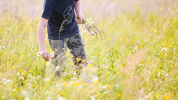 Мальчик Подросток Собирает Букет Цветов Лугу Солнечный День Погоды Своей — стоковое фото