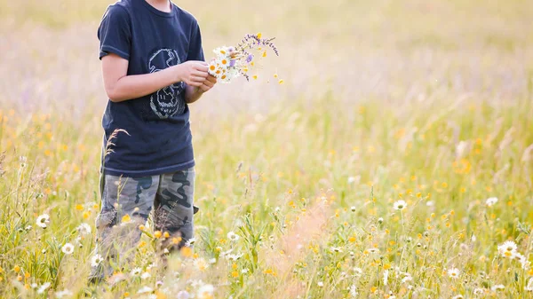 Хлопчик Підліток Збирає Букет Квітів Лузі Сонячний Погодний День Своєї — стокове фото