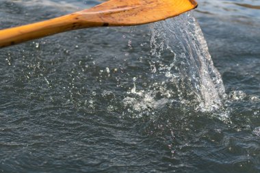 Ahşap kürek kürek için kullanılan closeup fotoğraf. Su, lake Bled güneşli bir kürek kürek