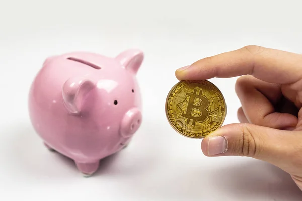 Bitcoin and pink piggy bank