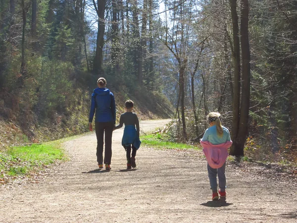 Мать с детьми прогуливается по лесу — стоковое фото