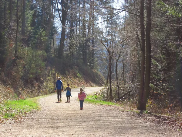 Мати з дітьми пішки в лісі — стокове фото