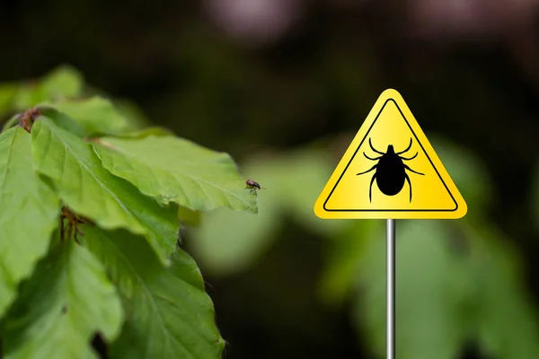 Tick sign in a green forest — Stock Photo, Image