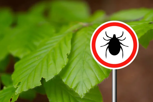 Vink teken aan in een groen bos — Stockfoto