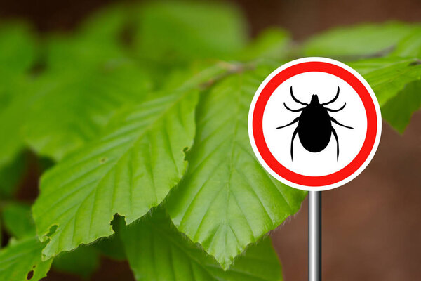 Tick sign in a green forest