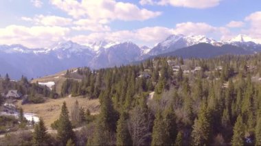 Ladin, küçük evler ve arka dağlarla dolu güzel Velika planina üzerinde uçan. Hava kamerası çekimi. Manzara panorama güneşli bir gün. Slovenya