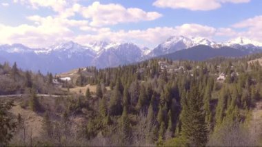 Ladin yakın üzerinde uçan, güzel Velika planina ladin dolu, küçük evler ve dağlar arka. Hava kamerası çekimi. Manzara panorama güneşli bir gün. Slovenya