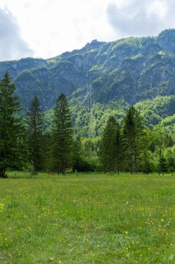 Triglav Ulusal Parkı'ndaki Bohinj Gölü ve Ukanc köyü, Slovenya