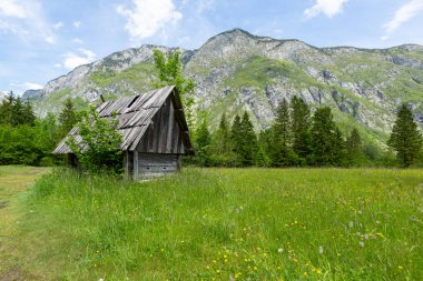 Triglav Ulusal Parkı'ndaki Bohinj Gölü ve Ukanc köyü, Slovenya