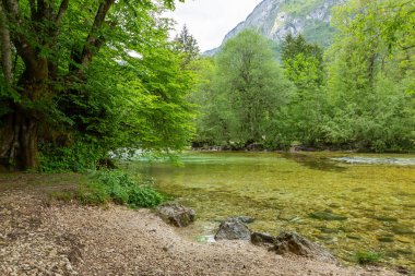 Triglav Ulusal Parkı'ndaki Bohinj Gölü ve Ukanc köyü, Slovenya