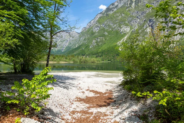 Lake Bohinj e Ukanc aldeia no parque nacional de Triglav, Eslovénia — Fotografia de Stock