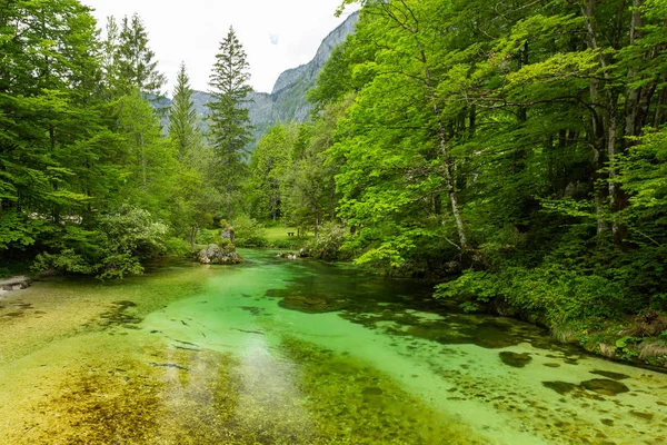 Lake Bohinj e Ukanc aldeia no parque nacional de Triglav, Eslovénia — Fotografia de Stock