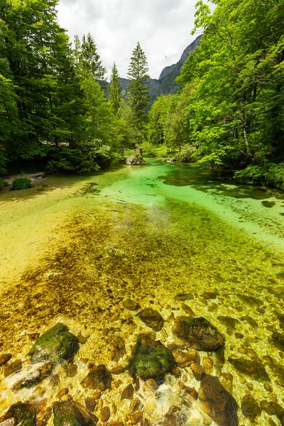Lake Bohinj and Ukanc village in Triglav national park, Slovenia — Stock Photo, Image